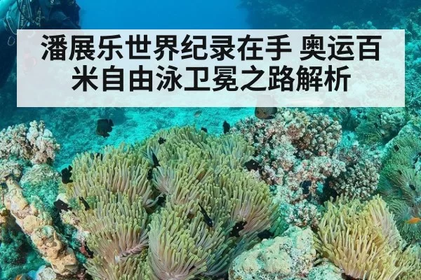 潘展乐世界纪录在手 奥运百米自由泳卫冕之路解析